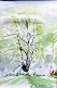 	48. Silver Birch by Gill Upton.JPG	